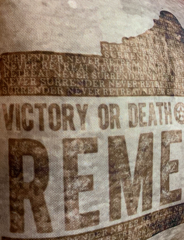 Remember the Alamo Throw Pillow